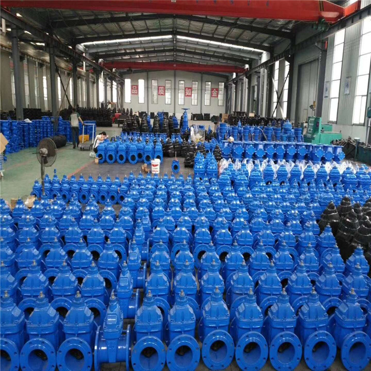 泉州洛江DN200闸阀可定制  龙盛达沟槽闸阀图片