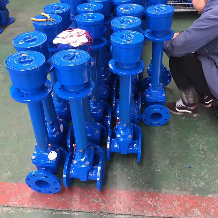 泉州晋江DN800闸阀可定制 龙盛达法兰闸阀图片