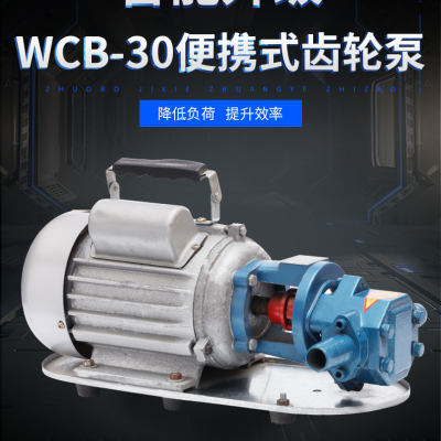 WCB-30齿轮泵