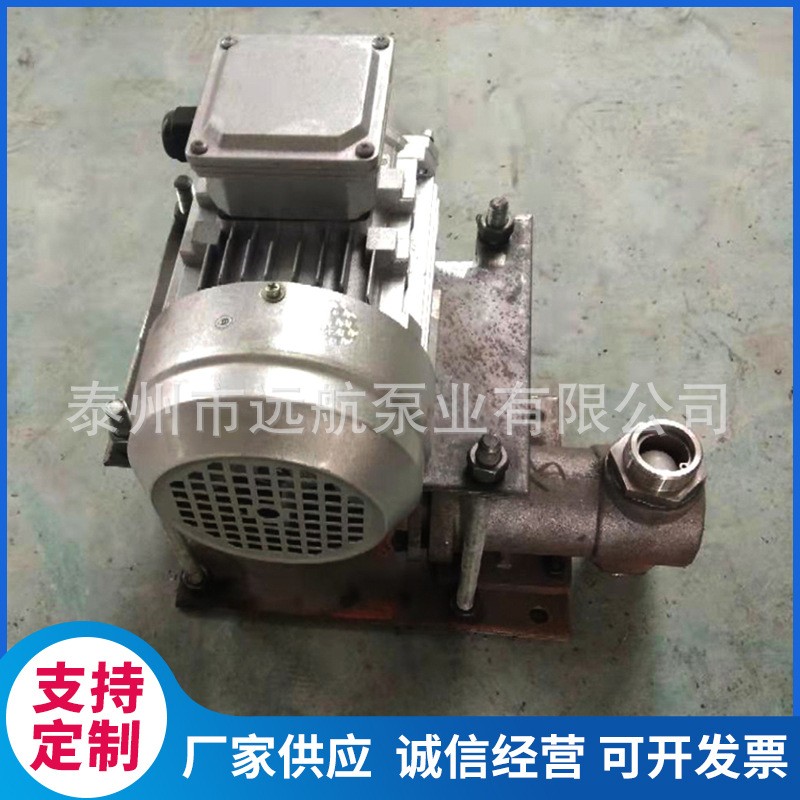 柱塞泵 船用电动柱塞泵 船用泵 品质可 靠 远航泵业 专 业供应图3