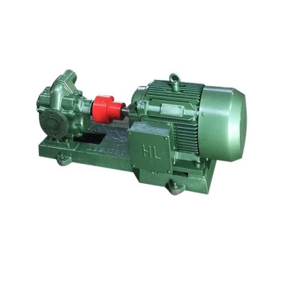 船用齿轮泵 供应不锈钢渣油泵不锈钢齿轮泵 kcb系列齿轮泵可批发