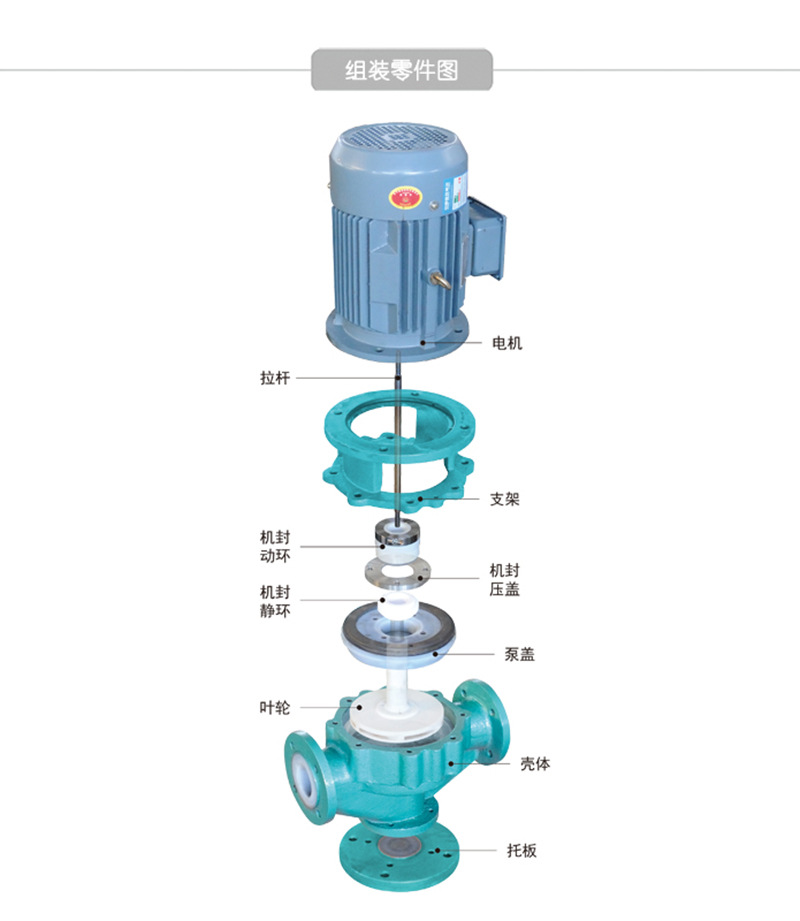 65GD-32F氟塑料立式化工衬氟管道循环泵 耐腐蚀污水泵 厂家批发示例图9