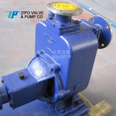 自贡自泵ZWFB或ZZX及ZZW无堵塞自吸泵铸铁电动排污泵