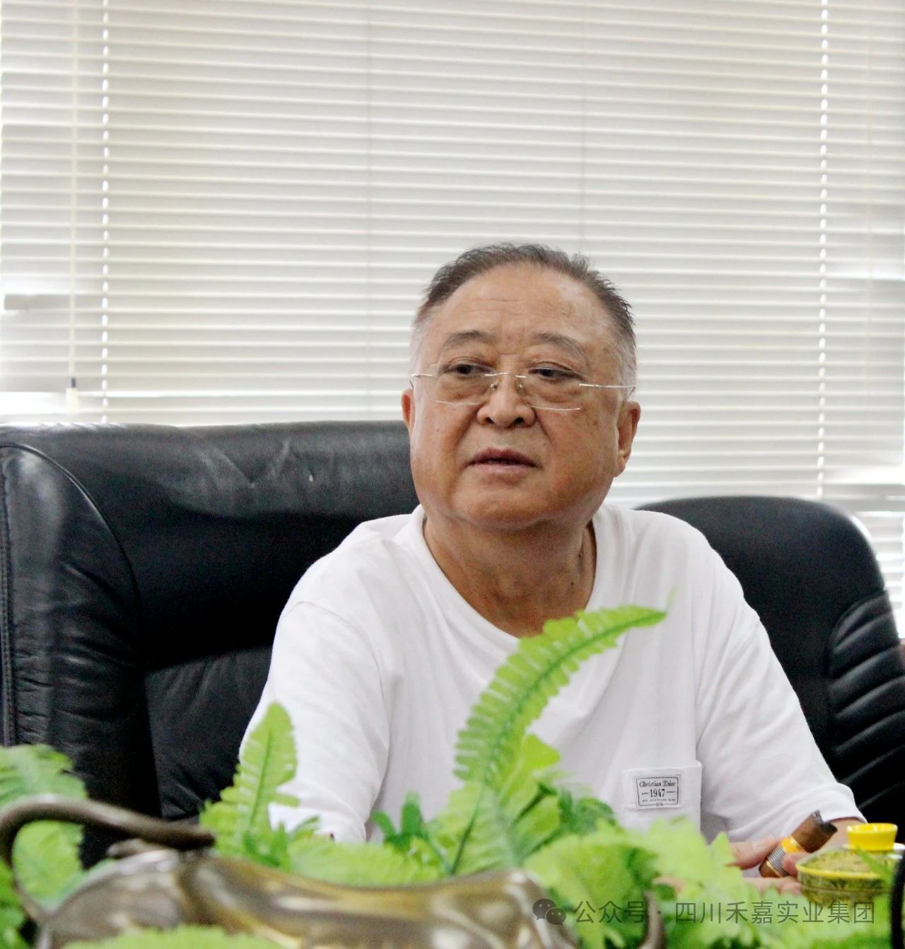 四川禾嘉董事局主席夏朝嘉