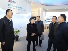 嘉定区政协主席杨莉来连成集团走访调研