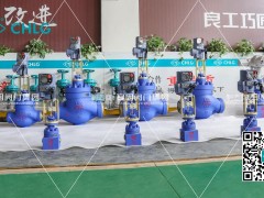 良固阀门开拓非洲能源新蓝海，诚邀全球合作伙伴共襄绿色未来