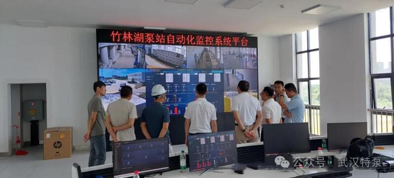 武汉特泵助力杜家台分蓄洪区竹林湖泵站四台机组成功试运行